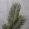 12 Pack: Green Tropical Areca Palm Stem by Ashland®